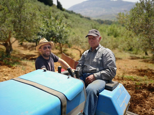 Olivenöl bauern im Feld auf einem Traktor im Sonnenschein