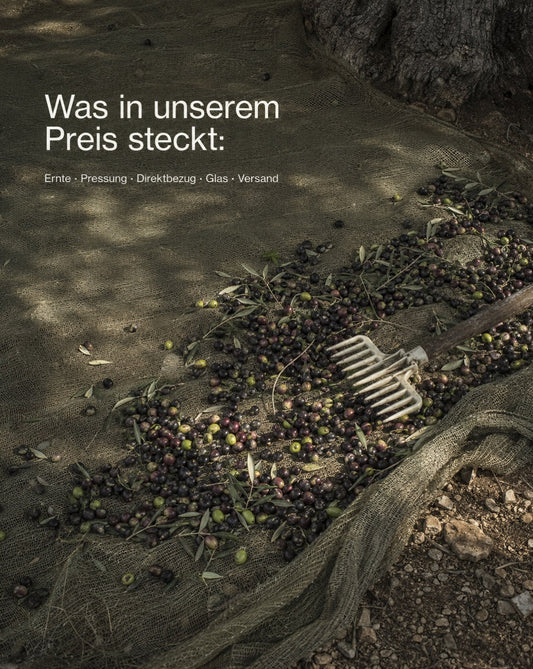 BIO Olivenöl Kosten verstehen